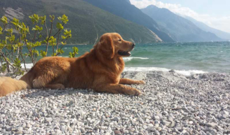 Lago di Garda   bei Torbole