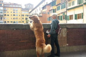 Florenz     Ponte Vecchio